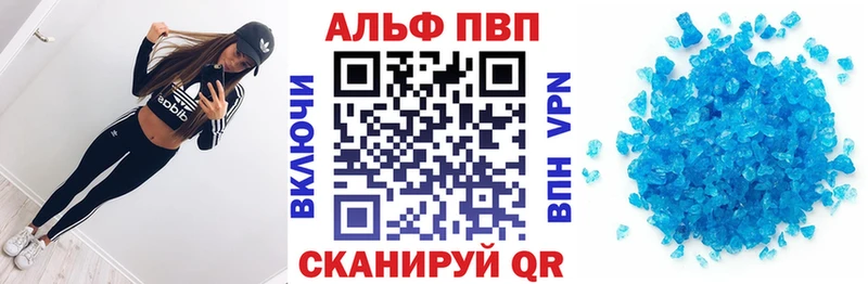 omg tor  Санкт-Петербург  Alfa_PVP СК КРИС 