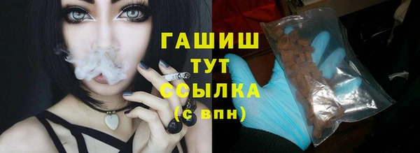 стаф Инта