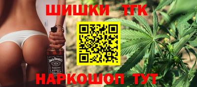 mdpv Гатчина