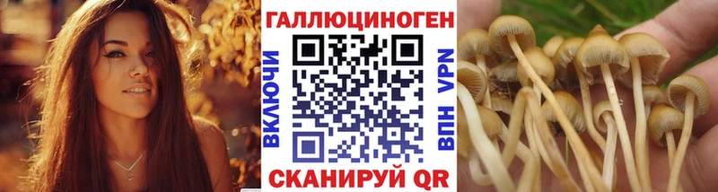 купить  цена  Санкт-Петербург  Галлюциногенные грибы ЛСД 