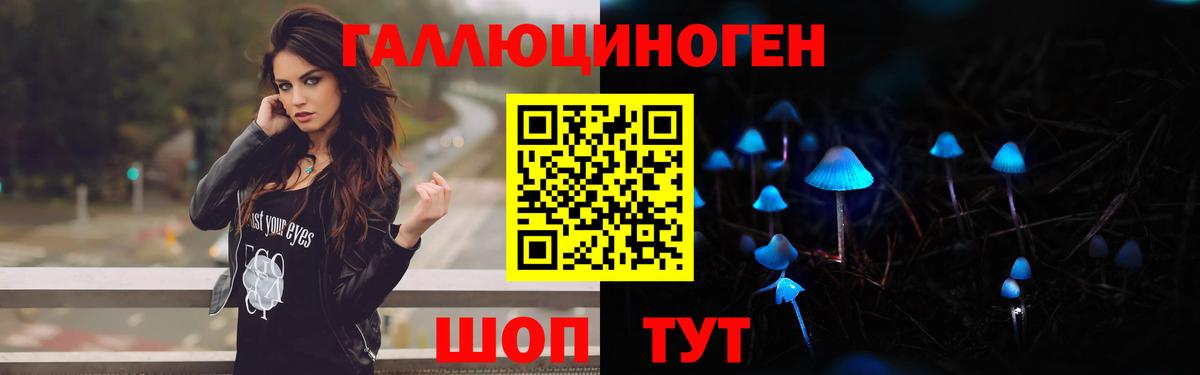 Псилоцибиновые грибы Magic Shrooms  Вход с VPN  Санкт-Петербург  Псилоцибиновые грибы Psilocybe 